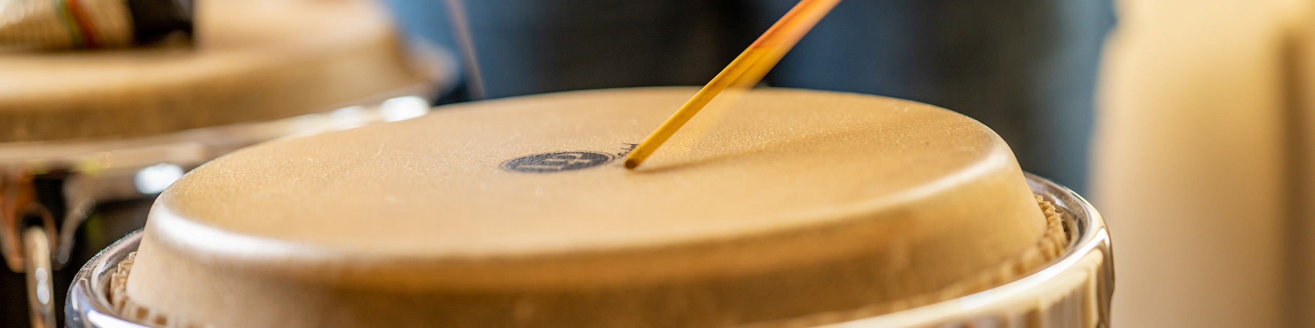 DSC_0178(c)timoplatte